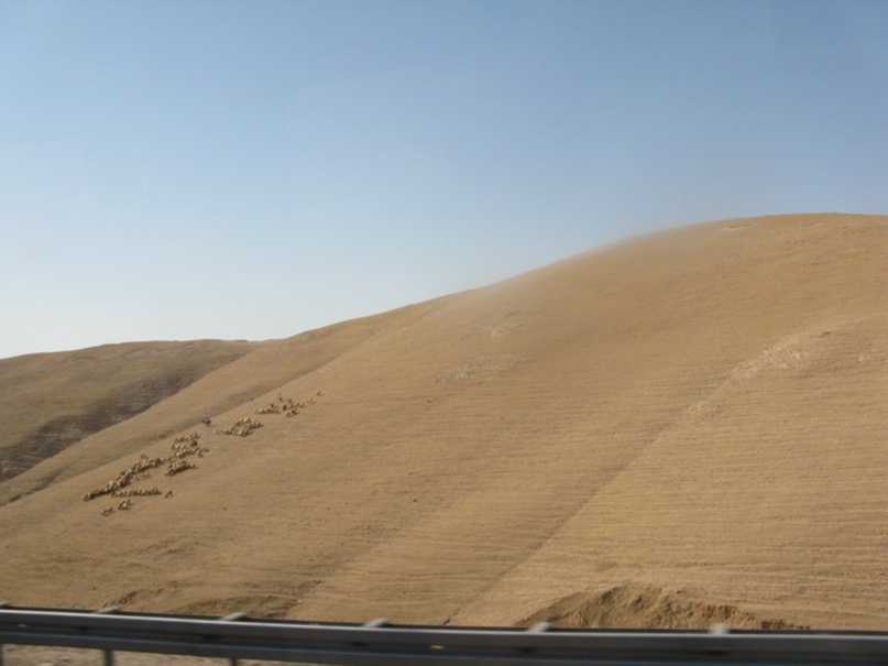Елена Баринова | Санкт-Петербург