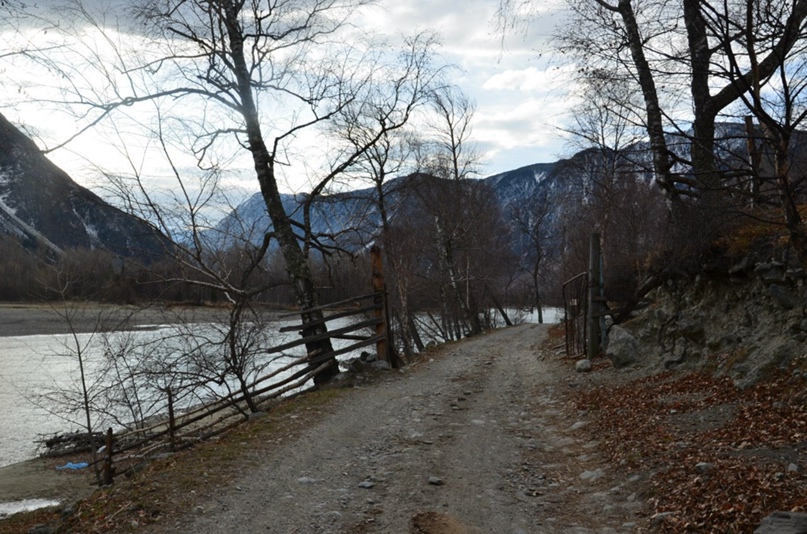 Ольга Ануфриева | Новосибирск