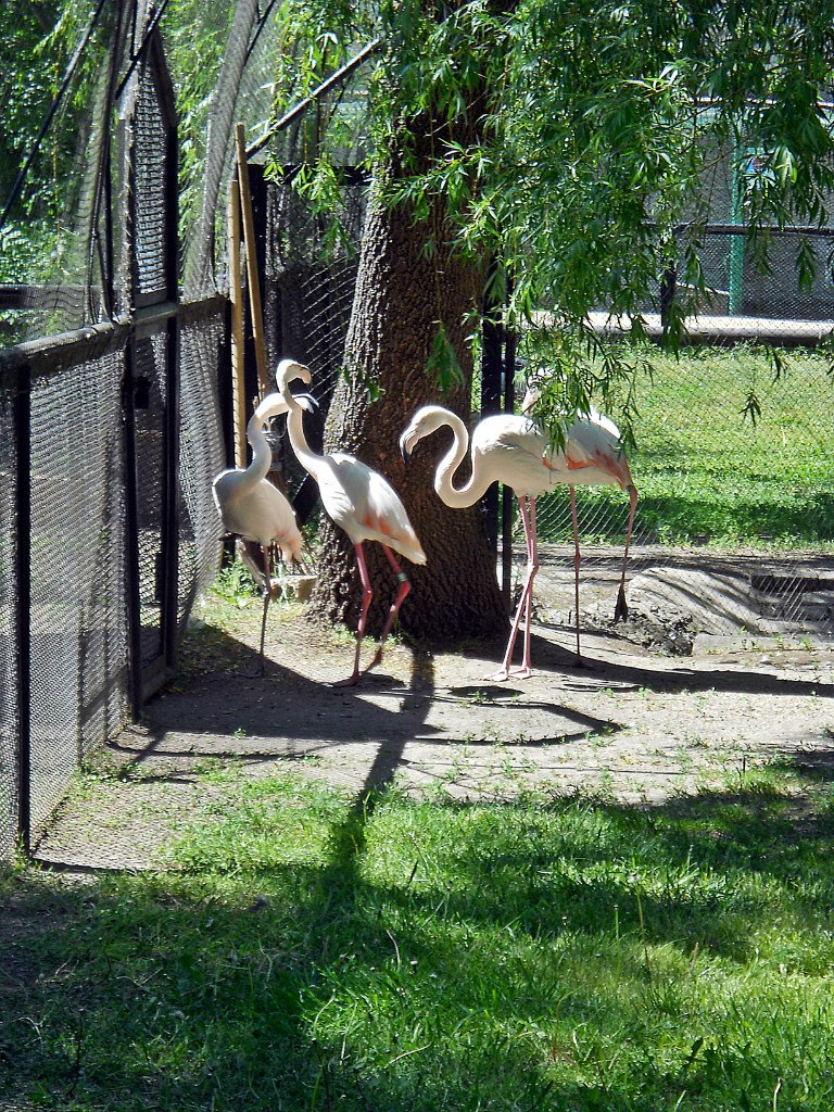 Виталий Чернов | Москва