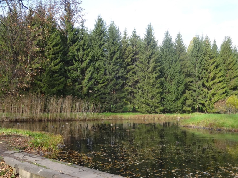 Мария Шершнёва | Санкт-Петербург