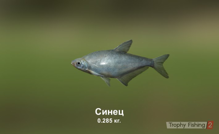 Евгений Мохов Krest | Днепр (Днепропетровск)