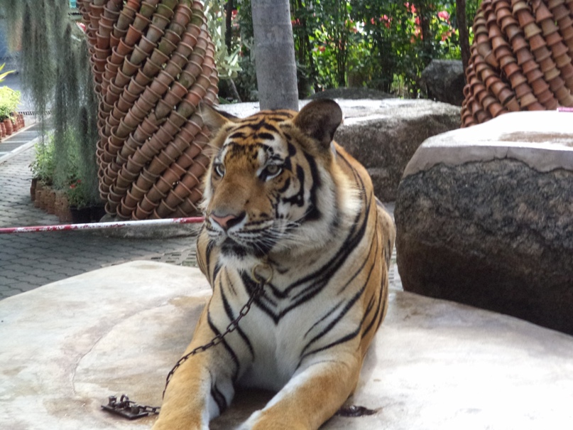 Юля Иванова | Санкт-Петербург