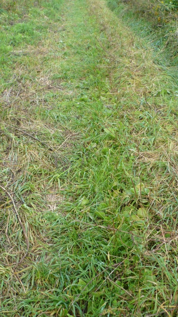 Ольга Галкина |