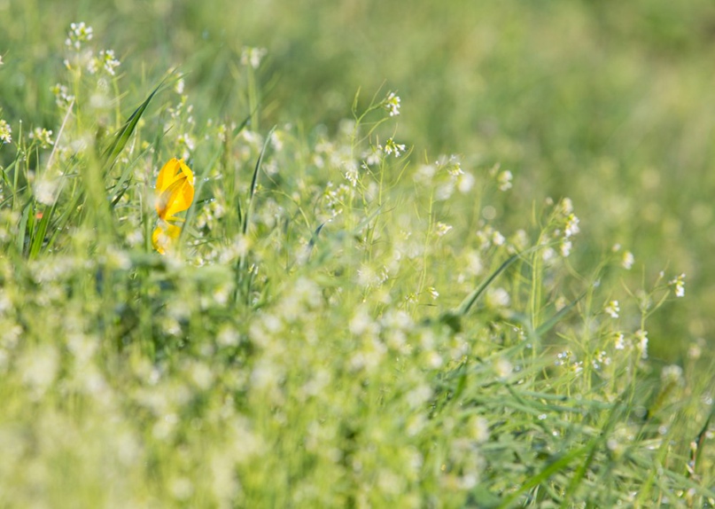Татьяна Кузнецова | Москва