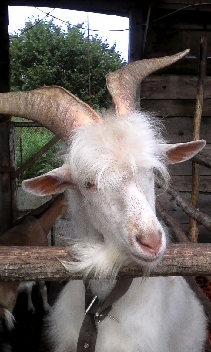 Танюшка Алексеенко | Санкт-Петербург