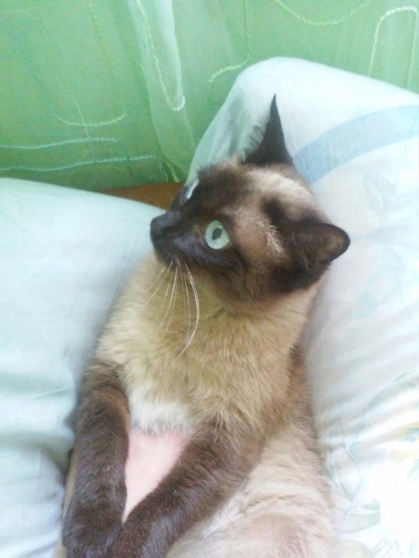 Сергій Кравець | Квасилов