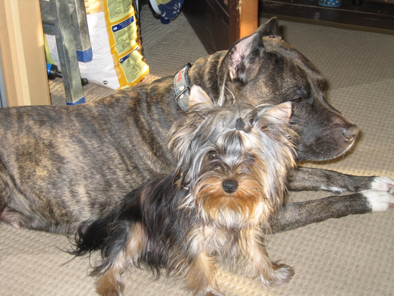 Алексей Васильев | Екатеринбург