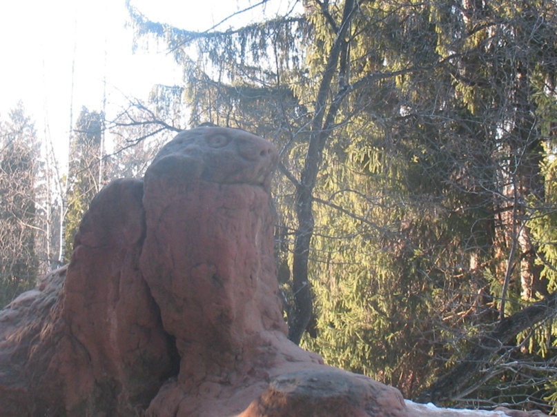 Алексей Степанов | Опочка