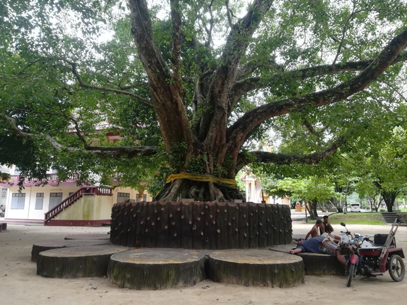 Елена Шадрина | Нижний Тагил