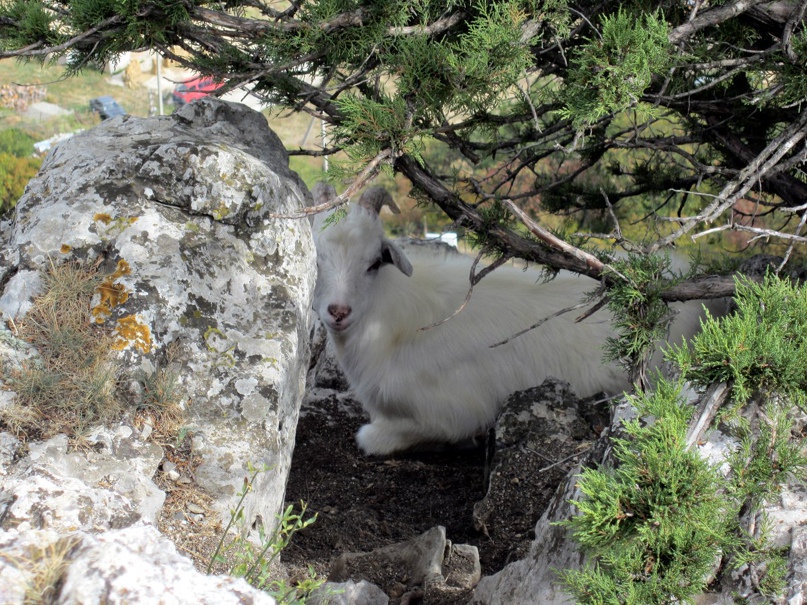 Юлия Логинова | Минск