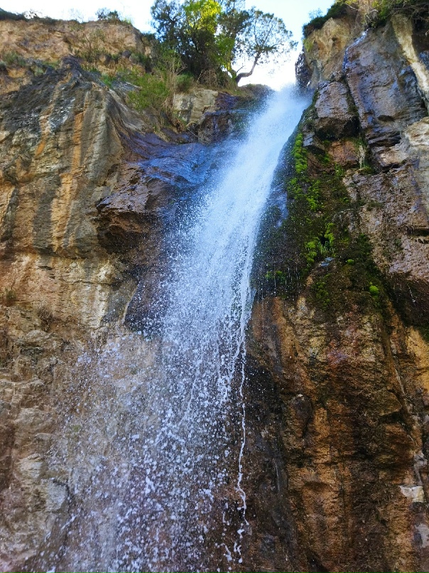 Александр Добряков | Barcelona