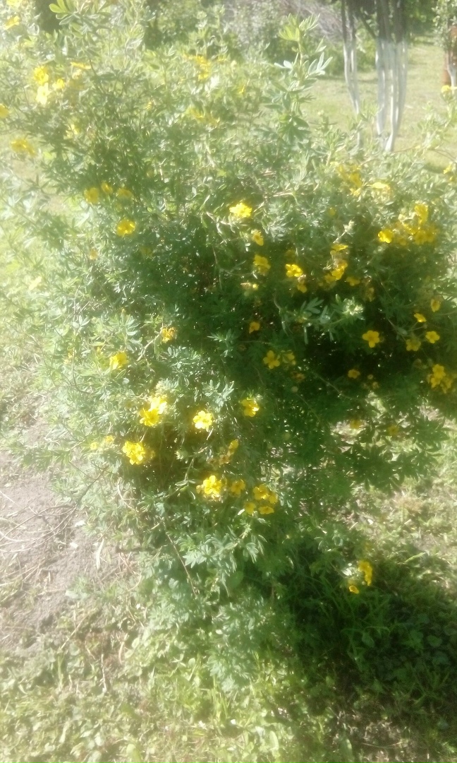 Алексей Тельнов | Тверь