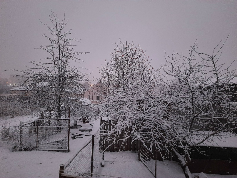 Анна Бочкарева Serqevna |