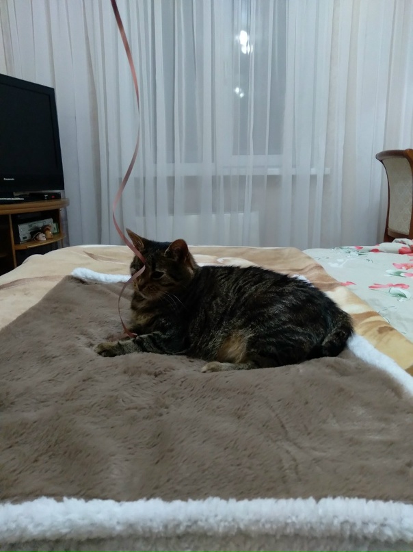 Александр Кончаков | Сызрань