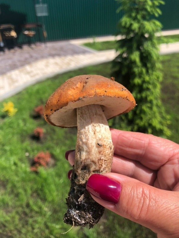 Галина Зеленова | Москва