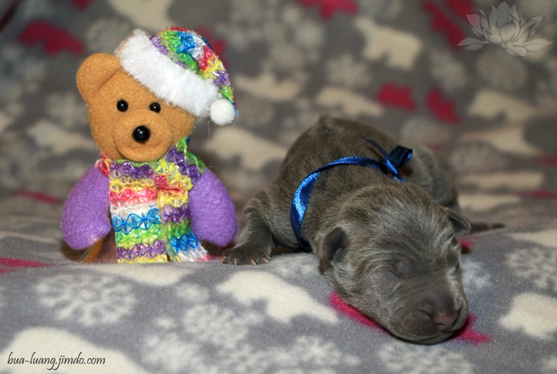 Наталья Евсикова | Москва