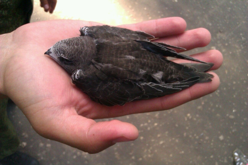 Александр Монахов | Лыткарино