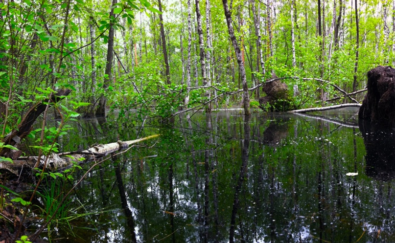 Кирилл Воробьев | Люберцы