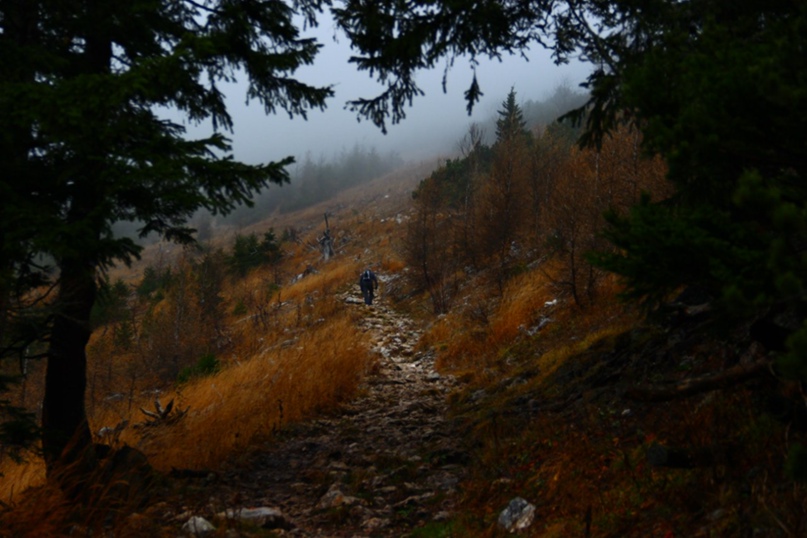 Анастасия Шнайдер | Киев