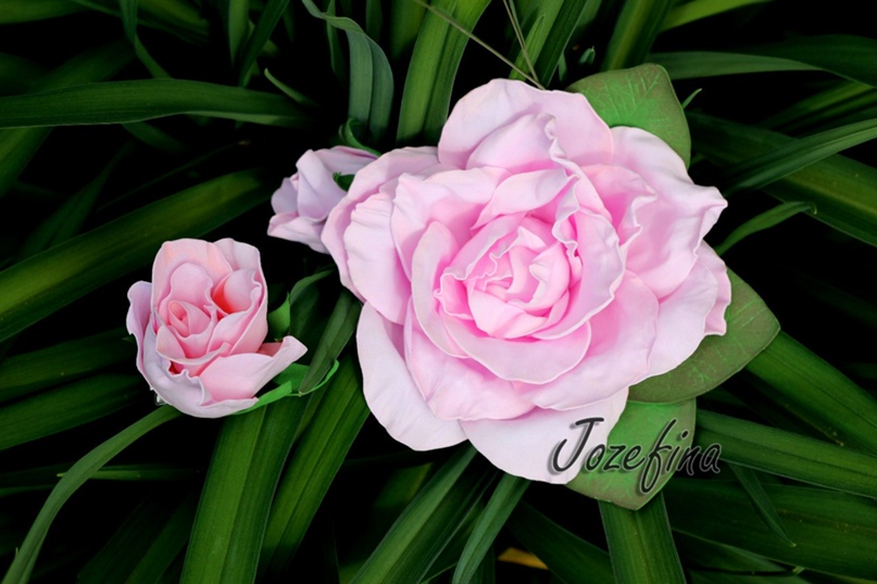 Алина Кондратьева | Киров