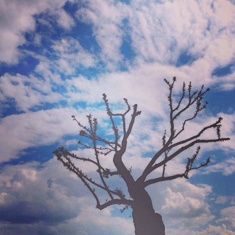 Ольга Пряжникова | Санкт-Петербург