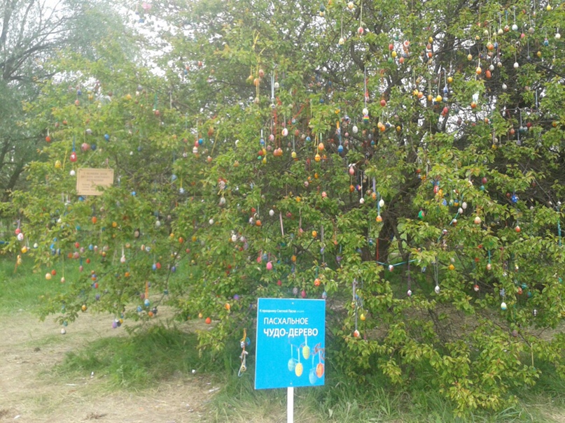 Роман Зорин | Донецк