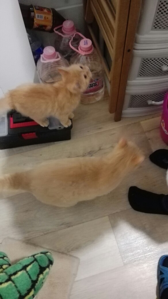 Натали Воронцова | Санкт-Петербург