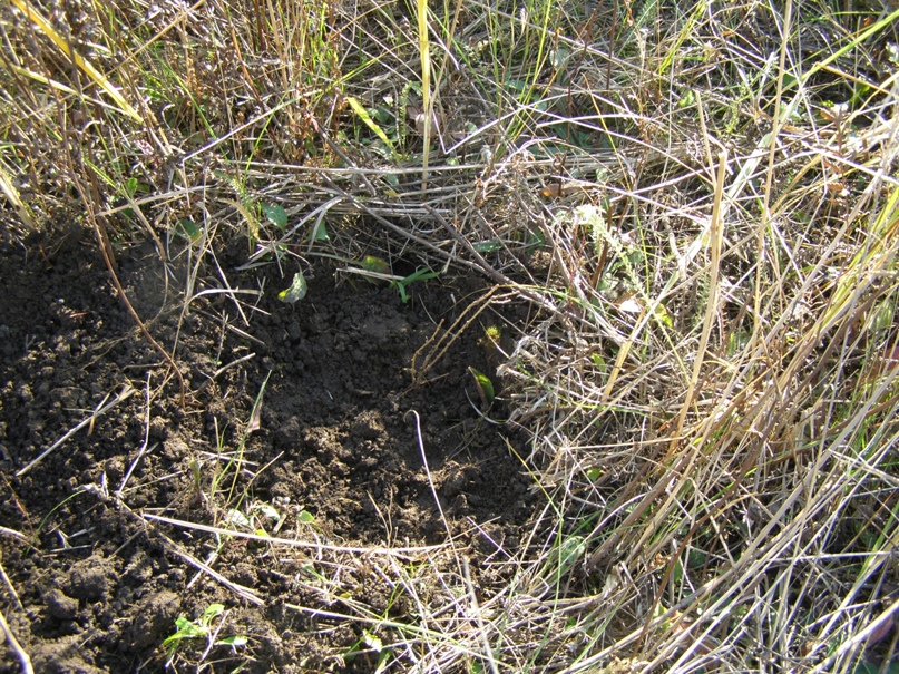 Вячеслав Круглов | Рязань