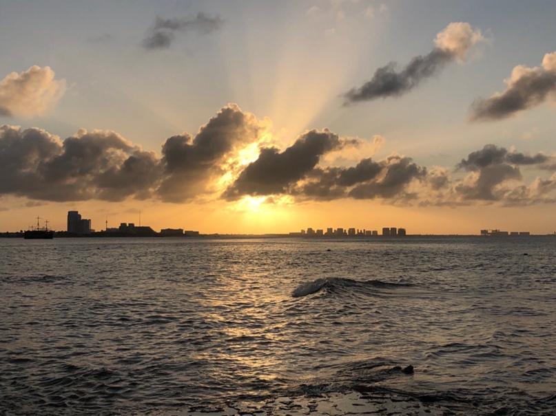 Дмитрий Савицкий | Санкт-Петербург