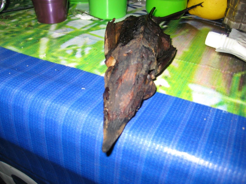 Александр Петраков H@melion | Тула