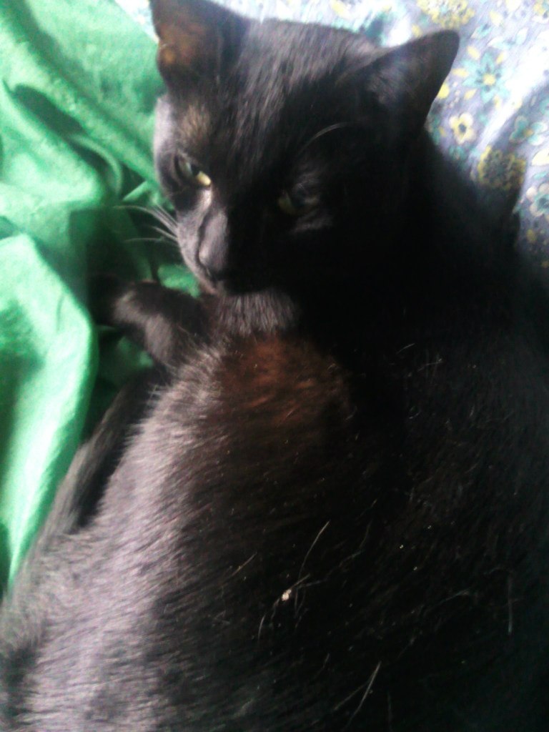 Светлана Ануфриева | Санкт-Петербург