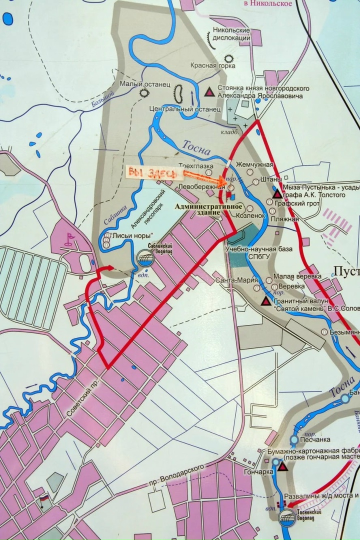 Анатолий Осипов Сергеевич | Шексна (пгт)