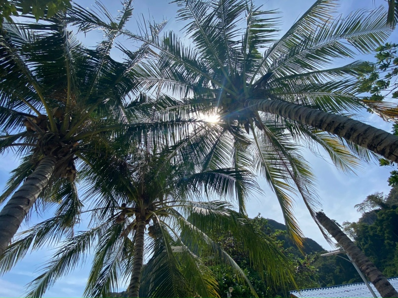 Катерина Ким | Мурманск