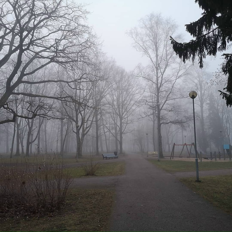 Татьяна Евдокимова | Москва