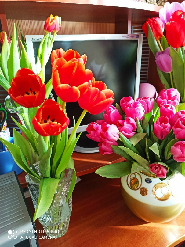 Светлана Зарубина | Северодвинск