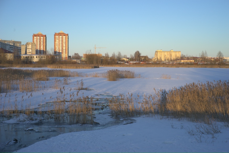 Андрей Ушаков | Ярославль
