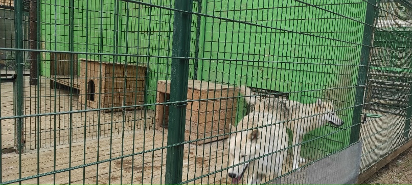 Евгений Будник | Санкт-Петербург