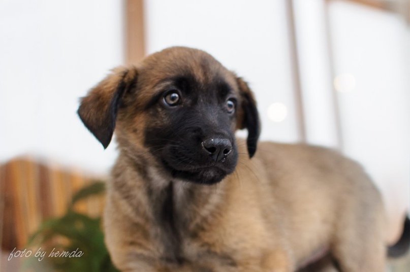 Людмила Грязнова hemda | Новосибирск