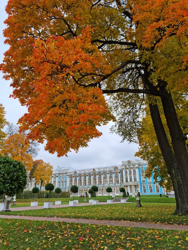 Юлия Щекочихина | Сочи