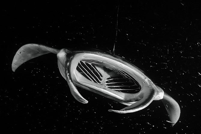 Светлана Касаткина ₪ ø lll ·o. | Красноярск