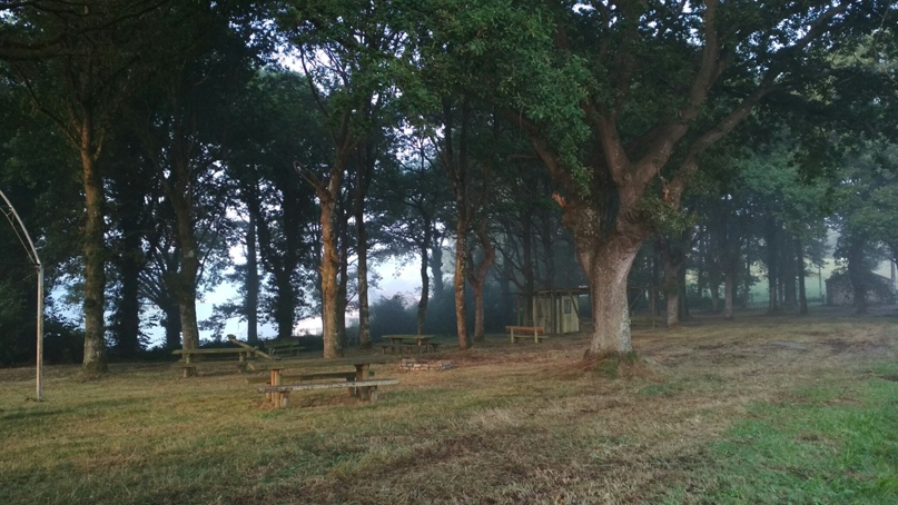 Ирина Терентьева | Санкт-Петербург