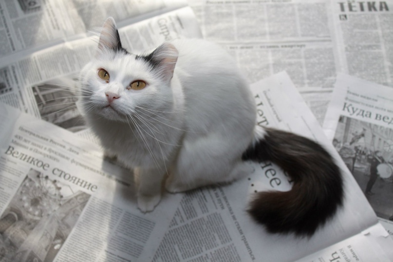 Юлия Шемякина | Москва