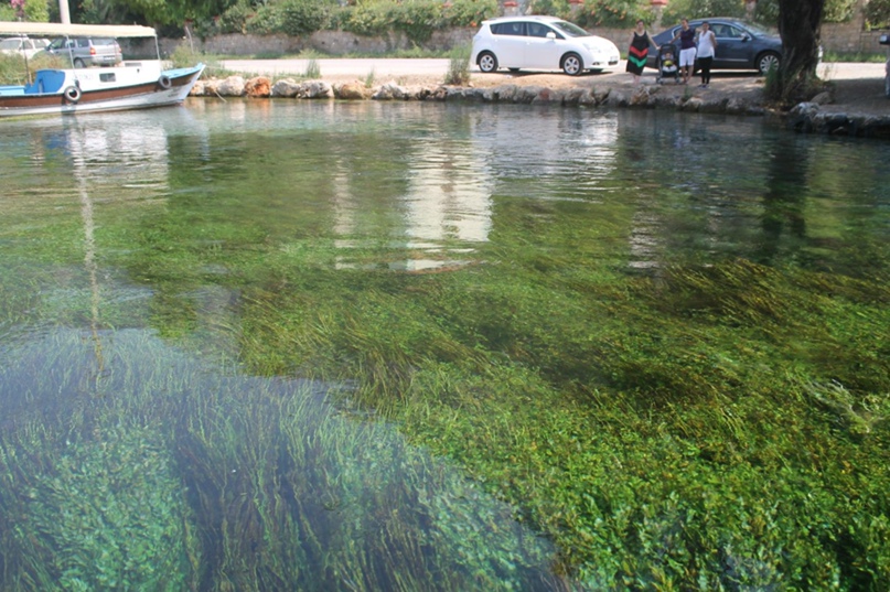Елена Вавилова | Курган