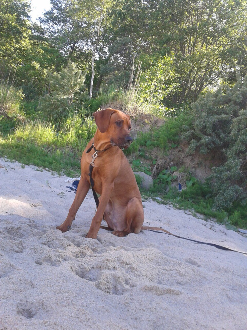 Оксана Исаева | Калининград