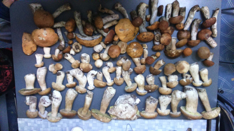 Александр Белокрылов | Пермь