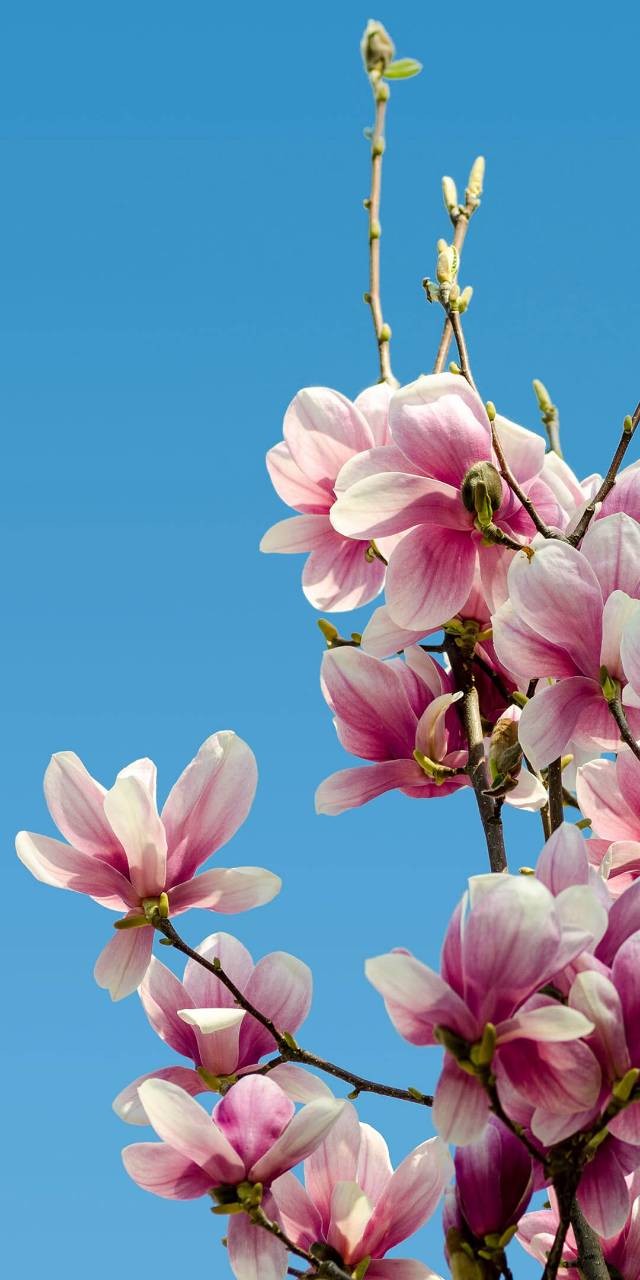 Татьяна Бондарчук | Архангельск