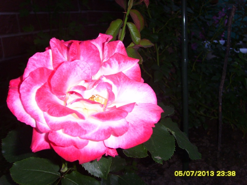 Мария Хохлова | Череповец