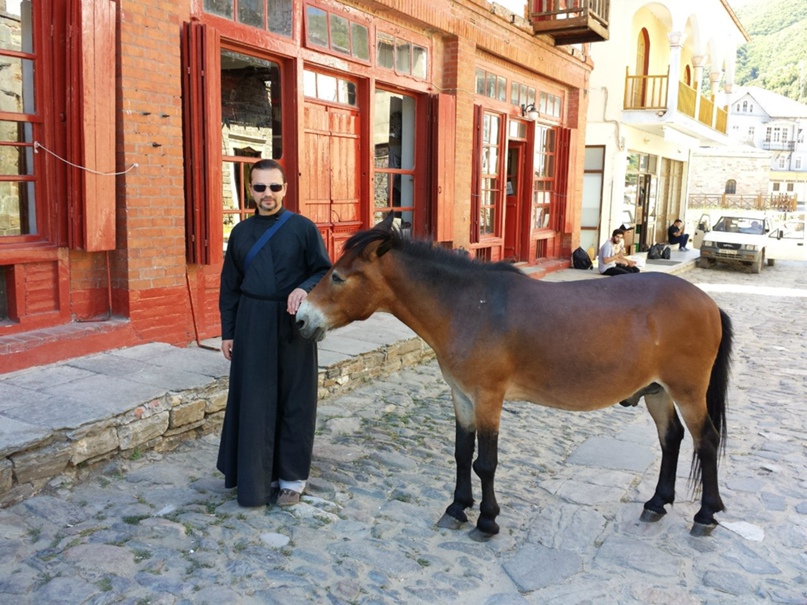 Денис Садовой | Wuppertal
