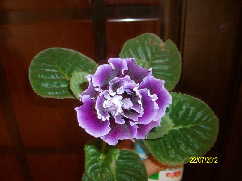 Анна Смирнова | Архангельск