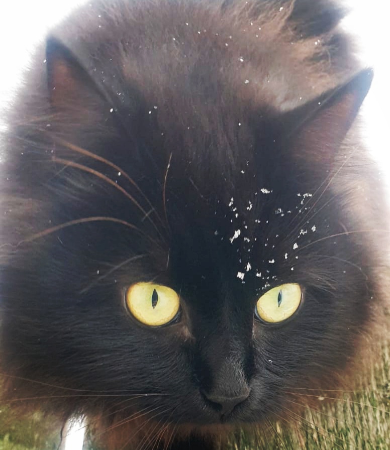 Артем Сокольников | Одинцово